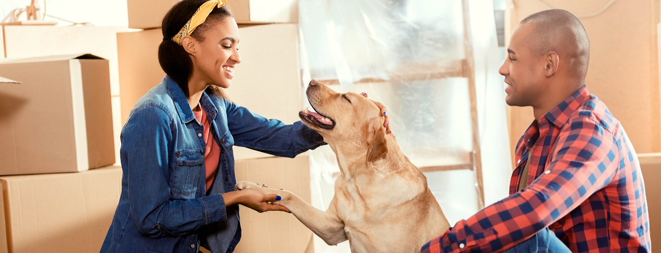 Two people and dog with moving boxes
