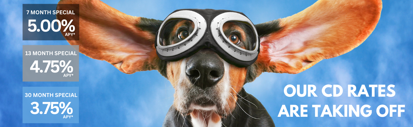 dog wearing goggles appearing as though he is flying